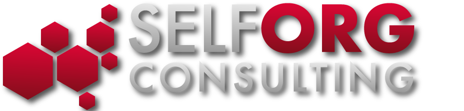 Welcome To SelfOrg Consulting